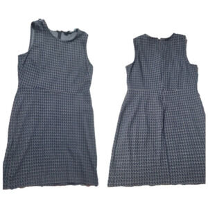 𝅺womens Banana Republic Blue And White Printed Dress with Zipper Back, Petite